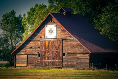 During the day, green grass brown wooden barns

